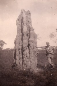 Gigantic termite mound in Australia (copyright 2016 T.B. Rhodes and A.B. Kautz) 