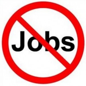 KITTEN No-Jobs-300x300